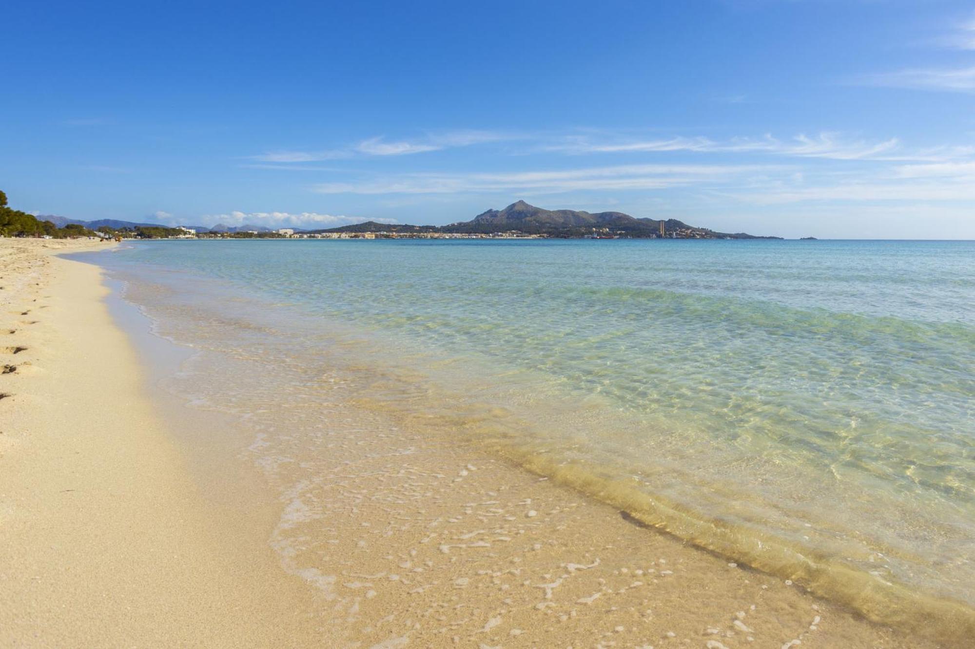 Valent Port d'Alcúdia